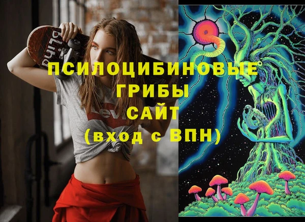 эйфоретик Бронницы