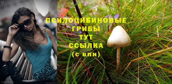 MDMA Бородино