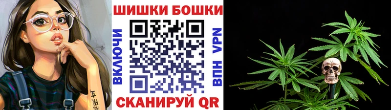 мориарти клад  продажа наркотиков  Козьмодемьянск  Бошки марихуана индика 